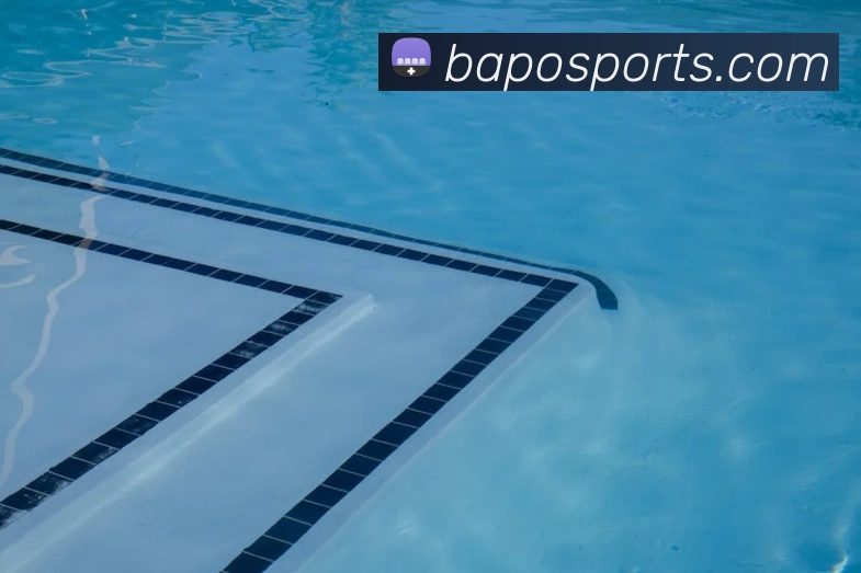 球赛投注平台生态图